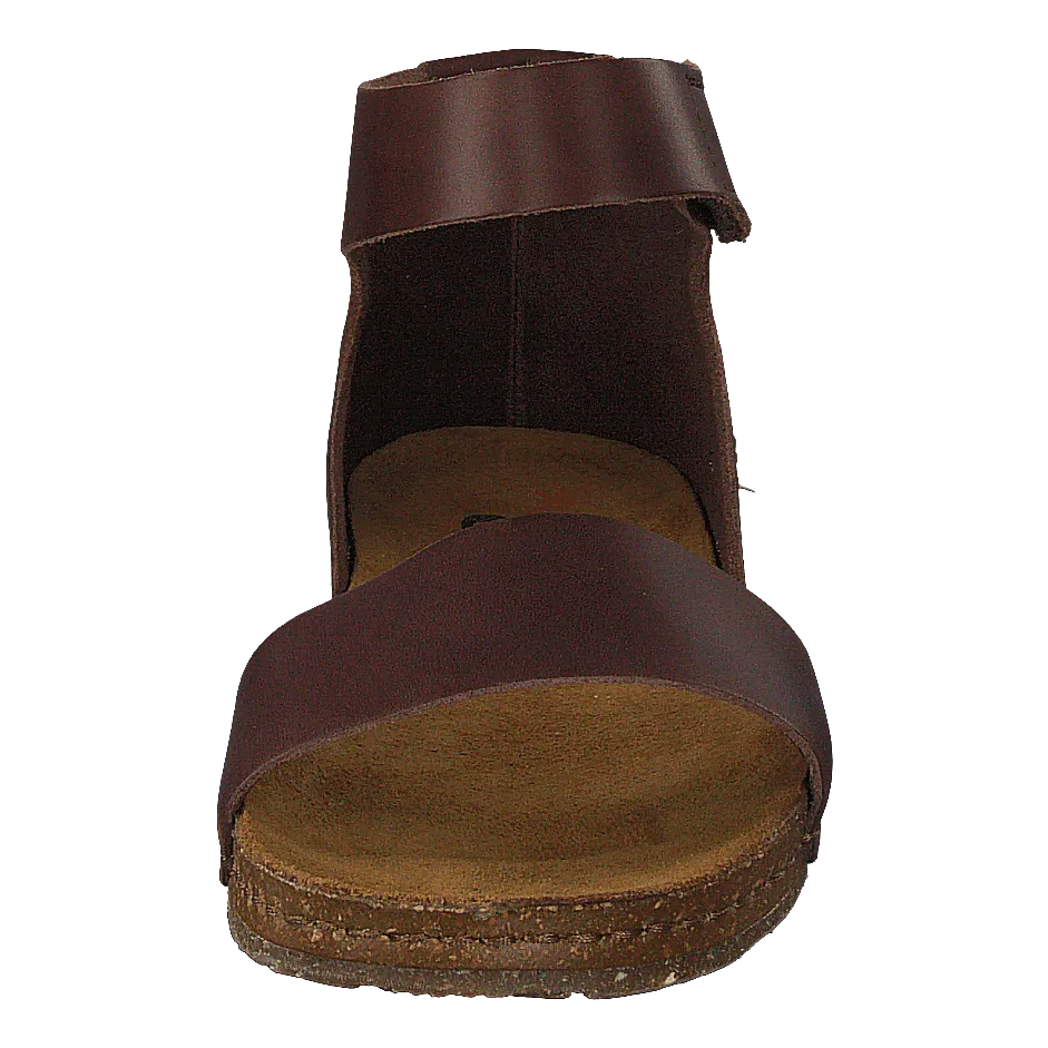 Creta Brown