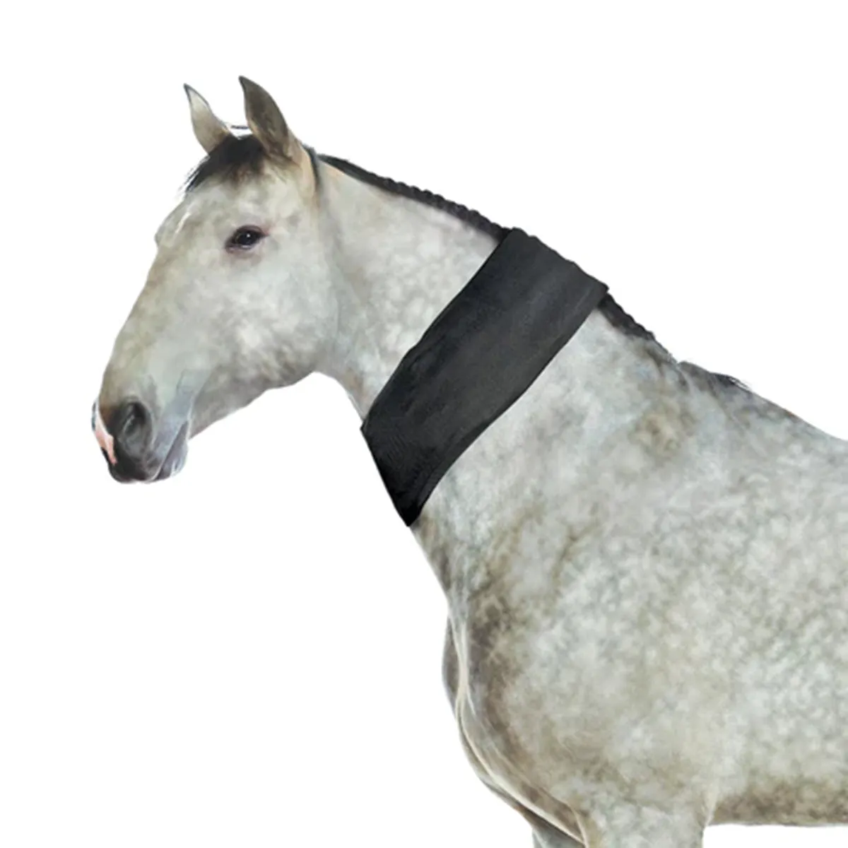 Ice Horse All-Purpose Ice Wrap
