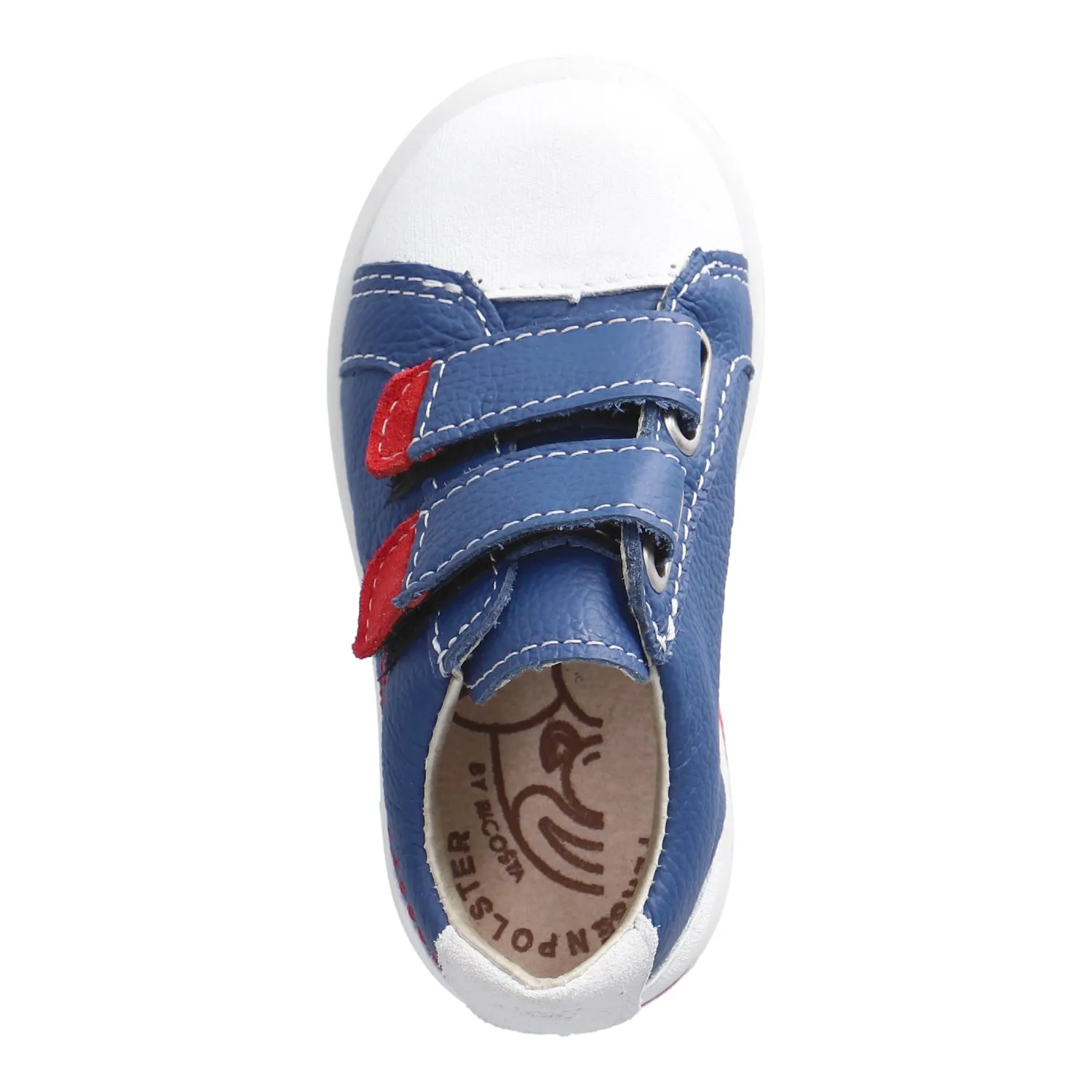 Nippy Leather Sneaker in Blue and Red