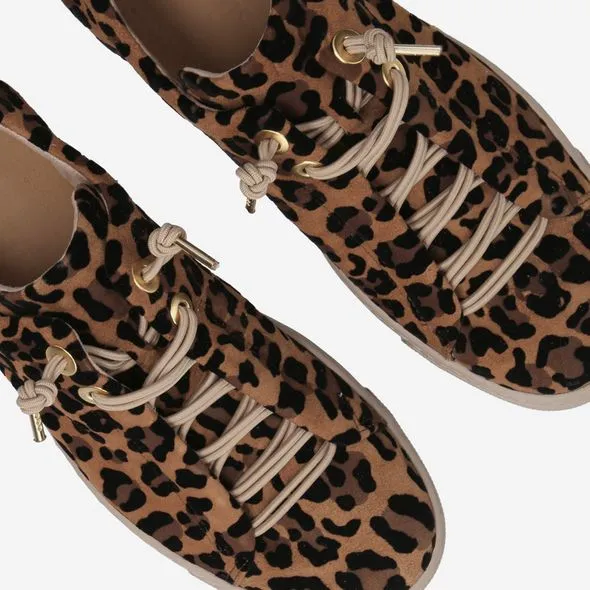 Paul Green Leopard Trainer -  5317026